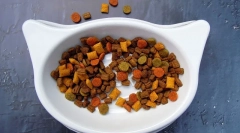 Как да изберем котка, когато уролитиаза